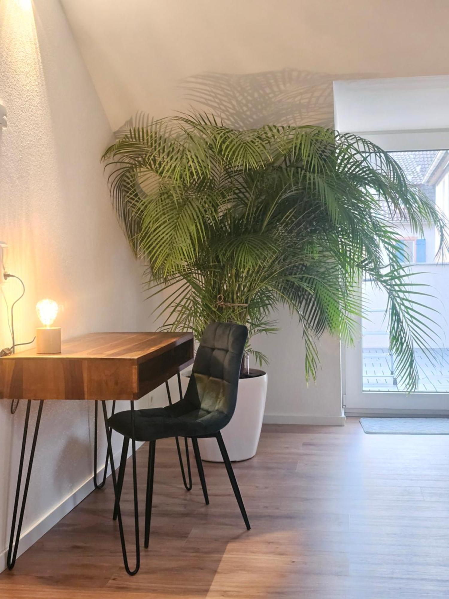 Apartamento Design-Penthouse I 90Qm I Europapark 20 Min I Boxspring I Nespresso I Parking Lahr  Exterior foto